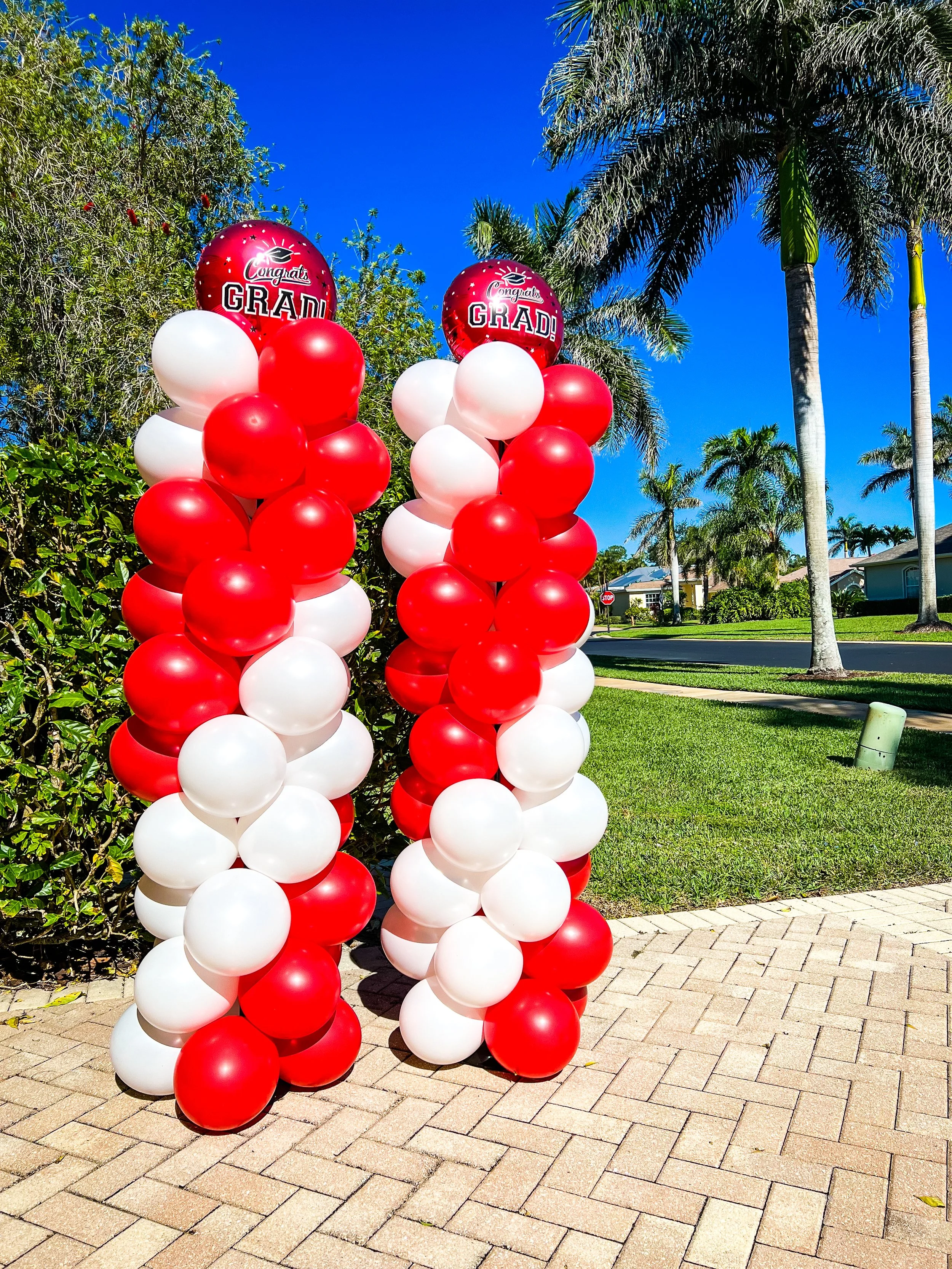 Apple Valley, MN Graduation Party Decorations - Balloon Garlands